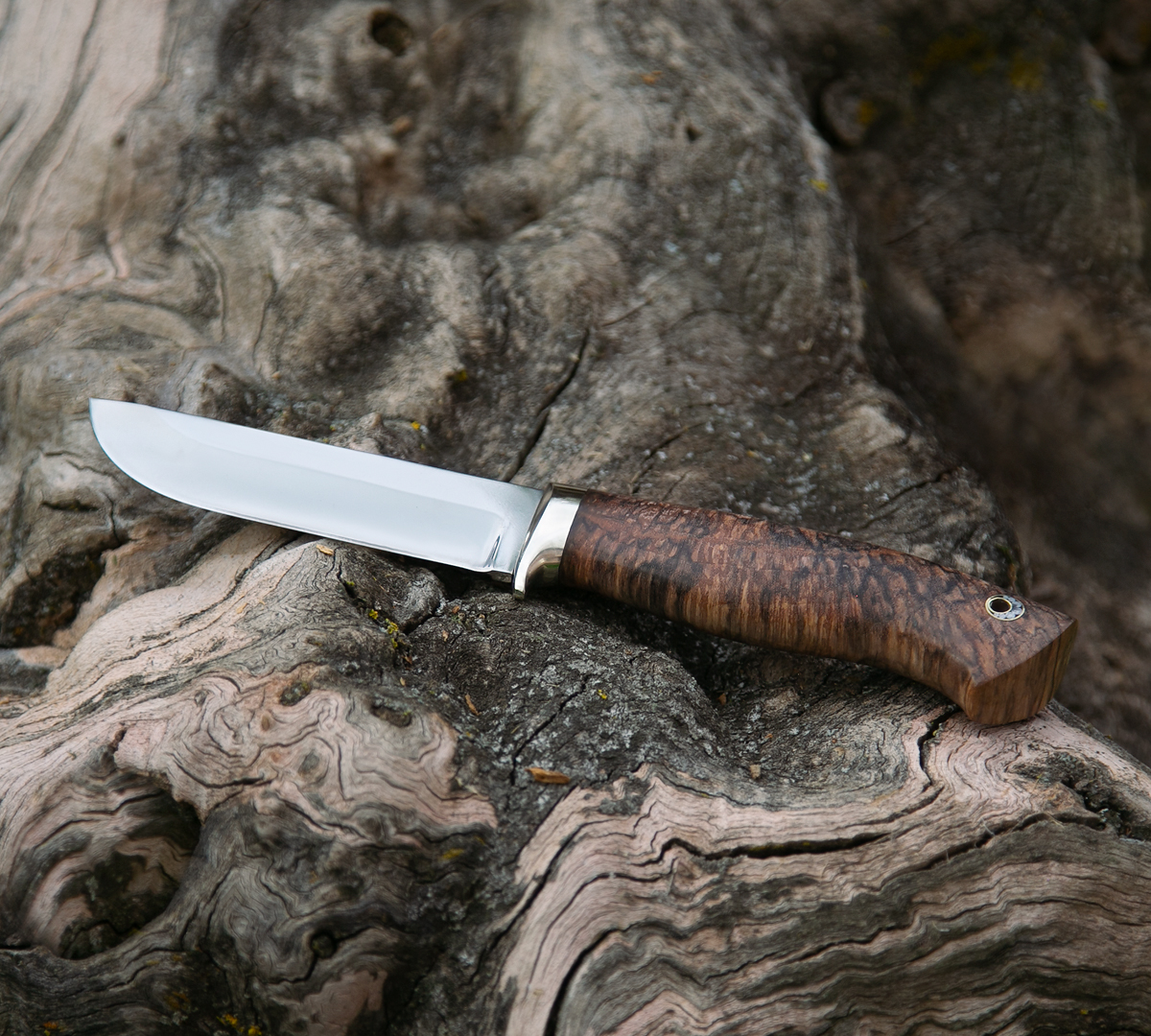 Нож Пегас из стали VG-10