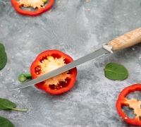 Филейный нож из стали N690